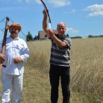 IV Mistrzostwa Polski w Koszeniu Zboża Metodą Tradycyjną