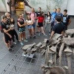 Wycieczka Młodzieżowej Drużyny Pożarniczej do Schweinsberg w Niemczech