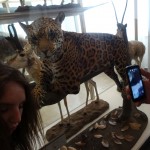 Wycieczka Młodzieżowej Drużyny Pożarniczej do Schweinsberg w Niemczech