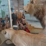 Wycieczka Młodzieżowej Drużyny Pożarniczej do Schweinsberg w Niemczech