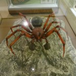 Wycieczka Młodzieżowej Drużyny Pożarniczej do Schweinsberg w Niemczech