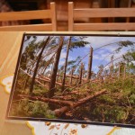 "Gmina Dziemiany - Rok po Nawałnicy"