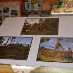 "Gmina Dziemiany - Rok po Nawałnicy"