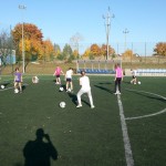 Zajęcia z piłki nożnej