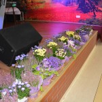 Zabawa Emerytów i Rencistów