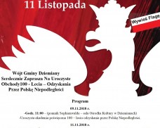 Obchody Narodowego Święta Niepodległości