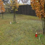 SPOŁECZNOŚC SZKOLNA ZKIW W DZIEMIANACH UCZCIŁA 100-LECIE NIEPODLEGŁEJ POLSKI