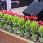 Zabawa Emerytów i Rencistów