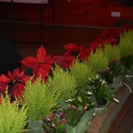 Zabawa Emerytów i Rencistów