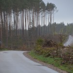 Biegi w Dziemianach - Dziemiańska Dyszka