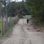 Biegi w Dziemianach - Dziemiańska Dyszka