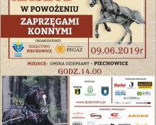 IV MISTRZOSTWA KASZUB W POWOŻENIU ZAPRZĘGAMI KONNYMI ORAZ POKAZ PSÓW