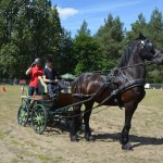 IV Mistrzostwa Kaszub w Powożeniu Zaprzęgami Konnymi oraz Pokaz Psów