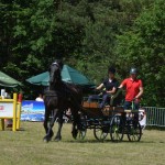 IV Mistrzostwa Kaszub w Powożeniu Zaprzęgami Konnymi oraz Pokaz Psów