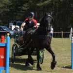 IV Mistrzostwa Kaszub w Powożeniu Zaprzęgami Konnymi oraz Pokaz Psów