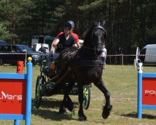IV Mistrzostwa Kaszub w Powożeniu Zaprzęgami Konnymi oraz Pokaz Psów