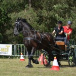 IV Mistrzostwa Kaszub w Powożeniu Zaprzęgami Konnymi oraz Pokaz Psów