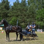 IV Mistrzostwa Kaszub w Powożeniu Zaprzęgami Konnymi oraz Pokaz Psów