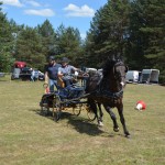 IV Mistrzostwa Kaszub w Powożeniu Zaprzęgami Konnymi oraz Pokaz Psów