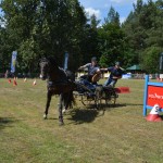 IV Mistrzostwa Kaszub w Powożeniu Zaprzęgami Konnymi oraz Pokaz Psów