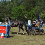 IV Mistrzostwa Kaszub w Powożeniu Zaprzęgami Konnymi oraz Pokaz Psów