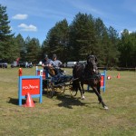IV Mistrzostwa Kaszub w Powożeniu Zaprzęgami Konnymi oraz Pokaz Psów