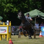 IV Mistrzostwa Kaszub w Powożeniu Zaprzęgami Konnymi oraz Pokaz Psów