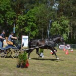 IV Mistrzostwa Kaszub w Powożeniu Zaprzęgami Konnymi