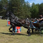 IV Mistrzostwa Kaszub w Powożeniu Zaprzęgami Konnymi