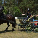 IV Mistrzostwa Kaszub w Powożeniu Zaprzęgami