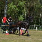 IV Mistrzostwa Kaszub w Powożeniu Zaprzęgami Konnymi