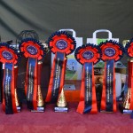 IV Mistrzostwa Kaszub w Powożeniu Zaprzęgami Konnymi