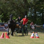 IV Mistrzostwa Kaszub w Powożeniu Zaprzęgami Konnymi