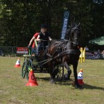 IV Mistrzostwa Kaszub w Powożeniu Zaprzęgami Konnymi