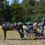 IV Mistrzostwa Kaszub w Powożeniu Zaprzęgami Konnymi