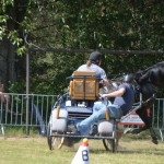 IV Mistrzostwa Kaszub w Powożeniu Zaprzęgami Konnymi