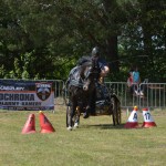 IV Mistrzostwa Kaszub w Powożeniu Zaprzęgami Konnymi