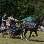 IV Mistrzostwa Kaszub w Powożeniu Zaprzęgami Konnymi