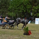 IV Mistrzostwa Kaszub w Powożeniu Zaprzęgami Konnymi