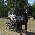 IV Mistrzostwa Kaszub w Powożeniu Zaprzęgami Konnymi