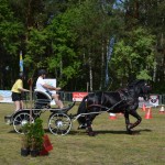IV Mistrzostwa Kaszub w Powożeniu Zaprzęgami Konnymi