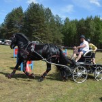 IV Mistrzostwa Kaszub w Powożeniu Zaprzęgami Konnymi