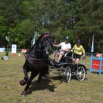 IV Mistrzostwa Kaszub w Powożeniu Zaprzęgami Konnymi