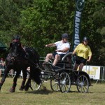 IV Mistrzostwa Kaszub w Powożeniu Zaprzęgami Konnymi