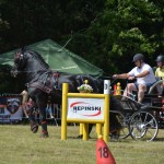 IV Mistrzostwa Kaszub w Powożeniu Zaprzęgami Konnymi