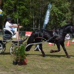 IV Mistrzostwa Kaszub w Powożeniu Zaprzęgami Konnymi
