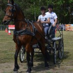 IV Mistrzostwa Kaszub w Powożeniu Zaprzęgami Konnymi