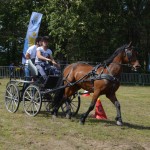 IV Mistrzostwa Kaszub w Powożeniu Zaprzęgami Konnymi