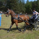 IV Mistrzostwa Kaszub w Powożeniu Zaprzęgami Konnymi