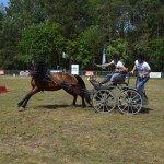 IV Mistrzostwa Kaszub w Powożeniu Zaprzęgami Konnymi